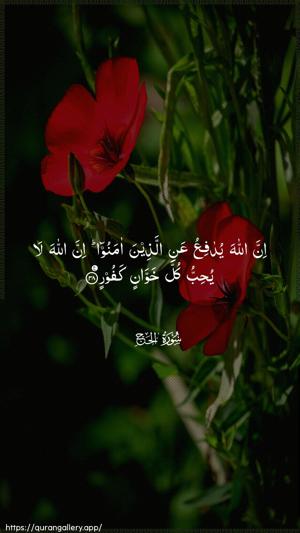 Al-Hajj Ayah 38 - Arabic wallpaper