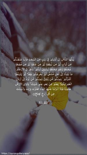 Al-Hajj Ayah 5 - Arabic wallpaper