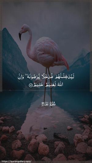 Al-Hajj Ayah 59 - Arabic wallpaper