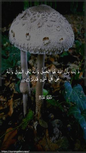 Al-Hajj Ayah 6 - Arabic wallpaper