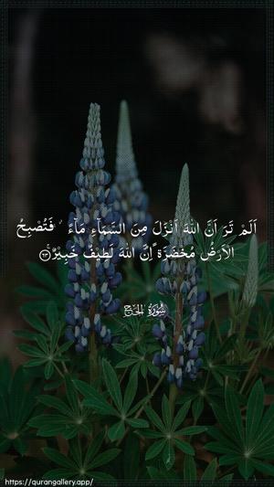 Al-Hajj Ayah 63 - Arabic wallpaper