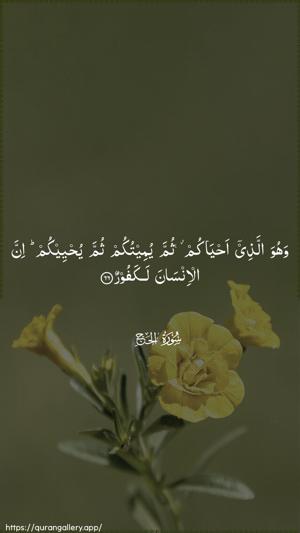 Al-Hajj Ayah 66 - Arabic wallpaper
