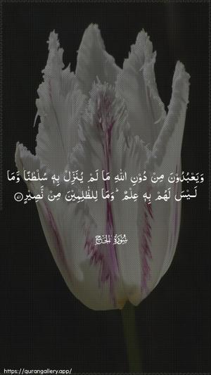 Al-Hajj Ayah 71 - Arabic wallpaper