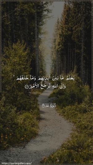 Al-Hajj Ayah 76 - Arabic wallpaper