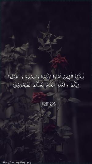 Al-Hajj Ayah 77 - Arabic wallpaper