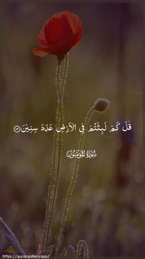 Al-Muminoon Ayah 112 - Arabic wallpaper