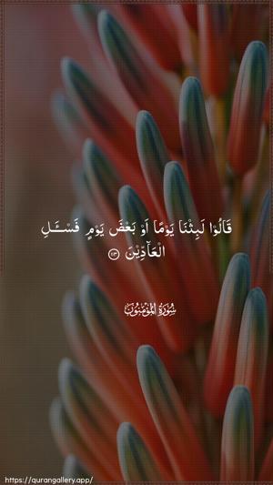 Al-Muminoon Ayah 113 - Arabic wallpaper