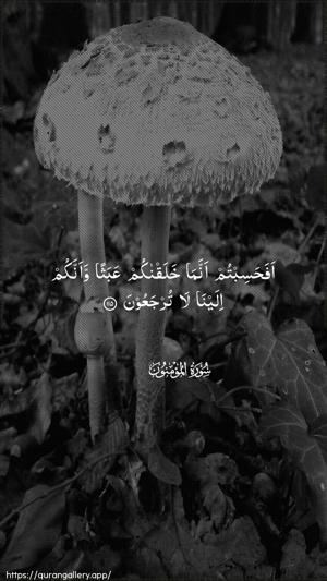 Al-Muminoon Ayah 115 - Arabic wallpaper