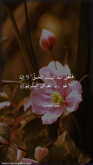 Al-Muminoon Ayah 116 - Arabic wallpaper