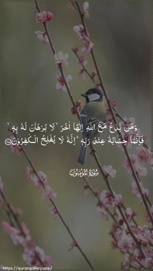 Al-Muminoon Ayah 117 - Arabic wallpaper
