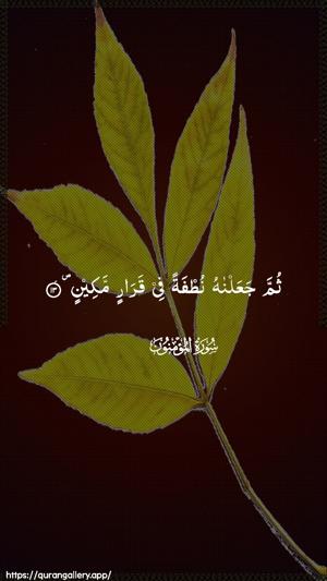 Al-Muminoon Ayah 13 - Arabic wallpaper