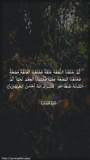 Al-Muminoon Ayah 14 - Arabic wallpaper