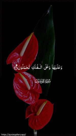 Al-Muminoon Ayah 22 - Arabic wallpaper
