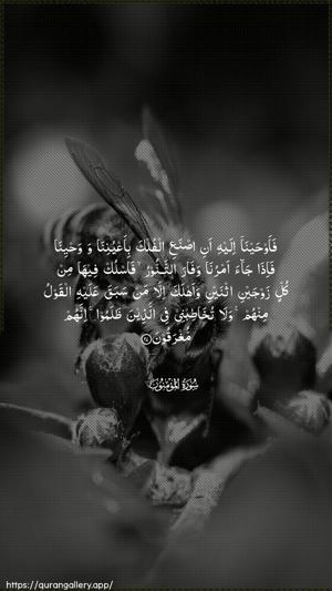 Al-Muminoon Ayah 27 - Arabic wallpaper