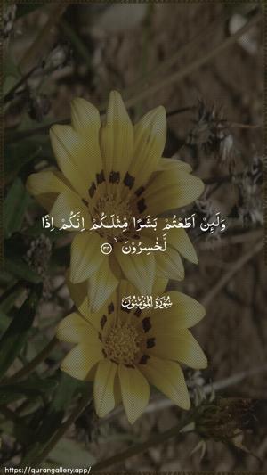 Al-Muminoon Ayah 34 - Arabic wallpaper