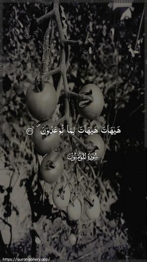Al-Muminoon Ayah 36 - Arabic wallpaper