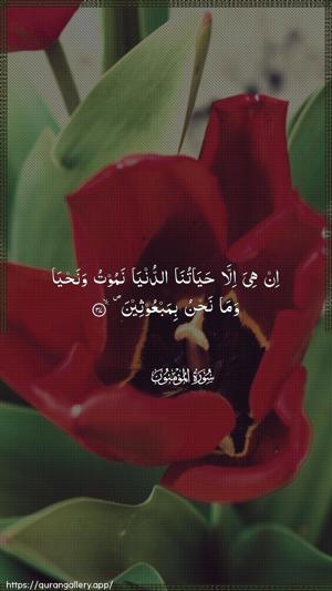 Al-Muminoon Ayah 37 - Arabic wallpaper