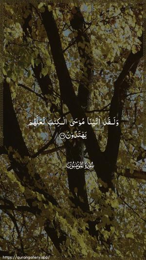 Al-Muminoon Ayah 49 - Arabic wallpaper