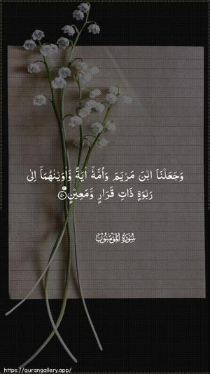 Al-Muminoon Ayah 50 - Arabic wallpaper