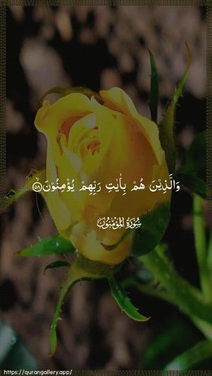 Al-Muminoon Ayah 58 - Arabic wallpaper