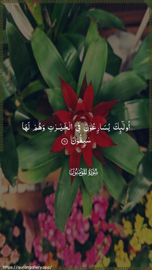 Al-Muminoon Ayah 61 - Arabic wallpaper