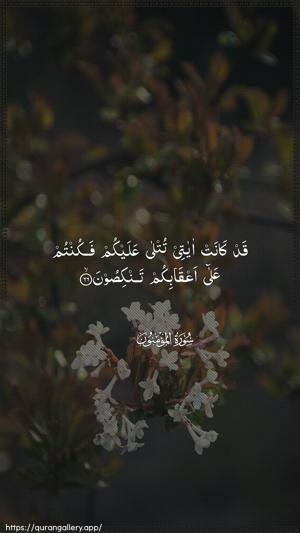 Al-Muminoon Ayah 66 - Arabic wallpaper