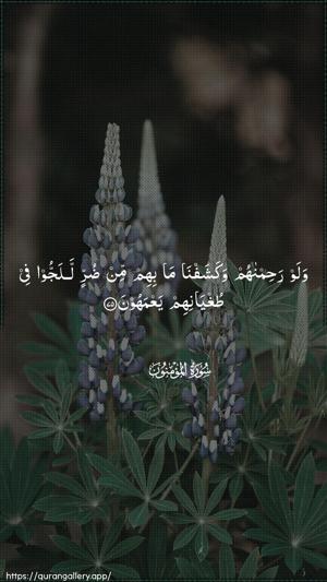 Al-Muminoon Ayah 75 - Arabic wallpaper