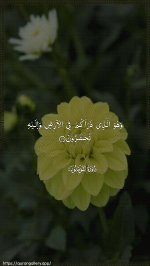 Al-Muminoon Ayah 79 - Arabic wallpaper