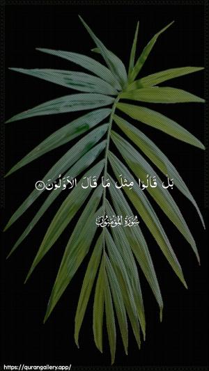 Al-Muminoon Ayah 81 - Arabic wallpaper