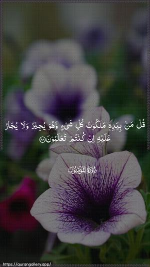 Al-Muminoon Ayah 88 - Arabic wallpaper