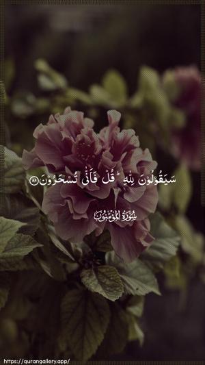 Al-Muminoon Ayah 89 - Arabic wallpaper