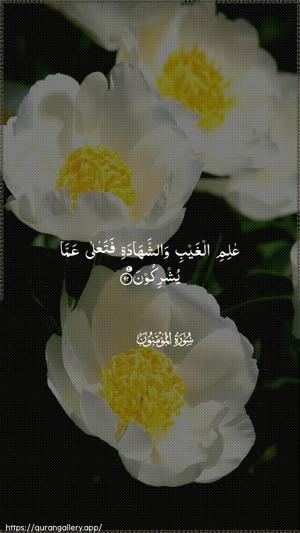 Al-Muminoon Ayah 92 - Arabic wallpaper