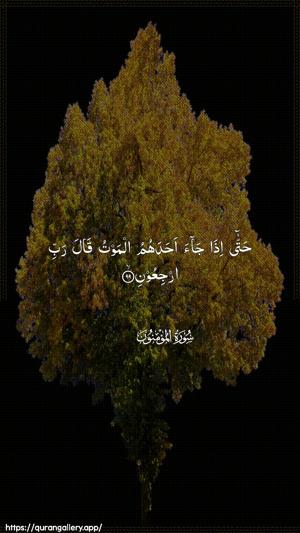 Al-Muminoon Ayah 99 - Arabic wallpaper