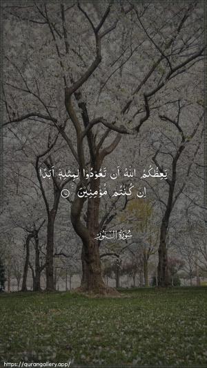 An-Noor Ayah 17 - Arabic wallpaper