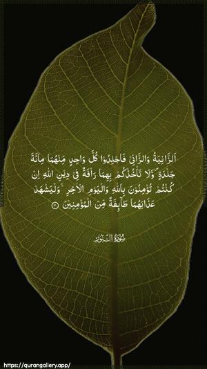 An-Noor Ayah 2 - Arabic wallpaper