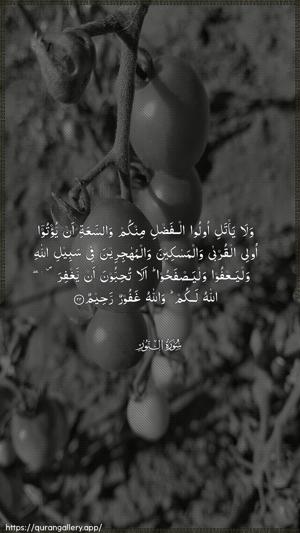 An-Noor Ayah 22 - Arabic wallpaper