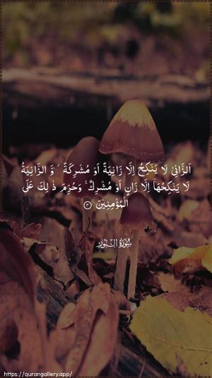 An-Noor Ayah 3 - Arabic wallpaper