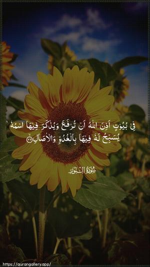An-Noor Ayah 36 - Arabic wallpaper