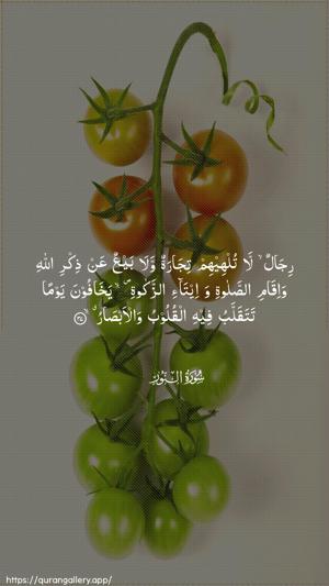 An-Noor Ayah 37 - Arabic wallpaper