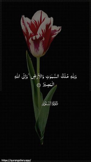 An-Noor Ayah 42 - Arabic wallpaper
