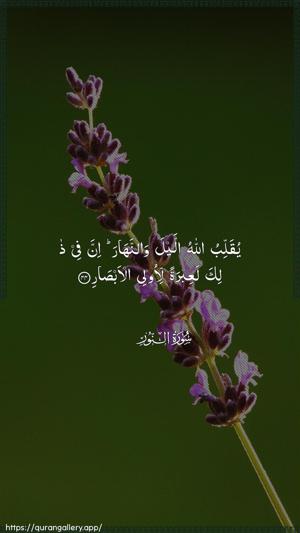An-Noor Ayah 44 - Arabic wallpaper