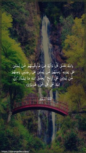 An-Noor Ayah 45 - Arabic wallpaper