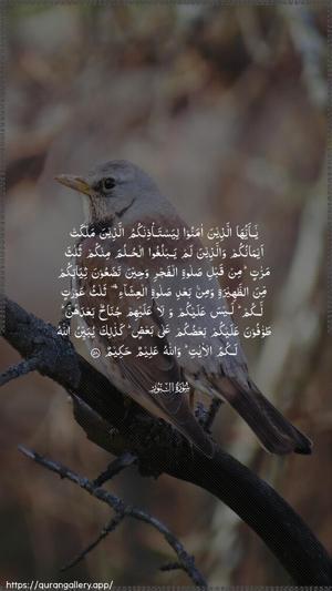 An-Noor Ayah 58 - Arabic wallpaper