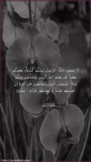 An-Noor Ayah 63 - Arabic wallpaper
