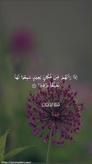 Al-Furqaan Ayah 12 - Arabic wallpaper