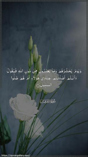 Al-Furqaan Ayah 17 - Arabic wallpaper