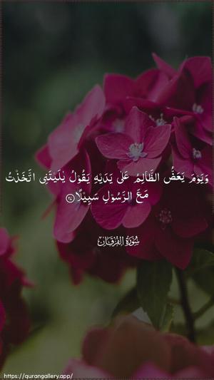 Al-Furqaan Ayah 27 - Arabic wallpaper