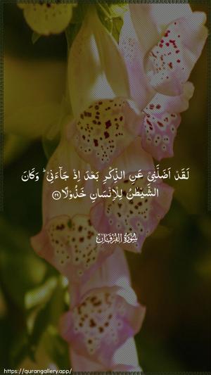 Al-Furqaan Ayah 29 - Arabic wallpaper