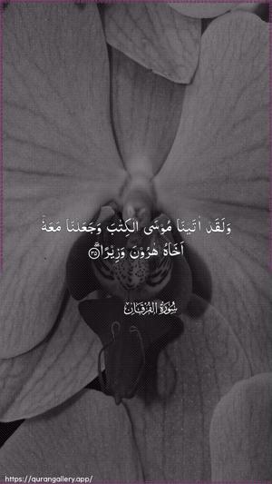 Al-Furqaan Ayah 35 - Arabic wallpaper