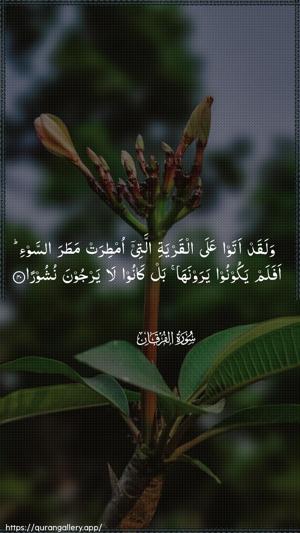 Al-Furqaan Ayah 40 - Arabic wallpaper